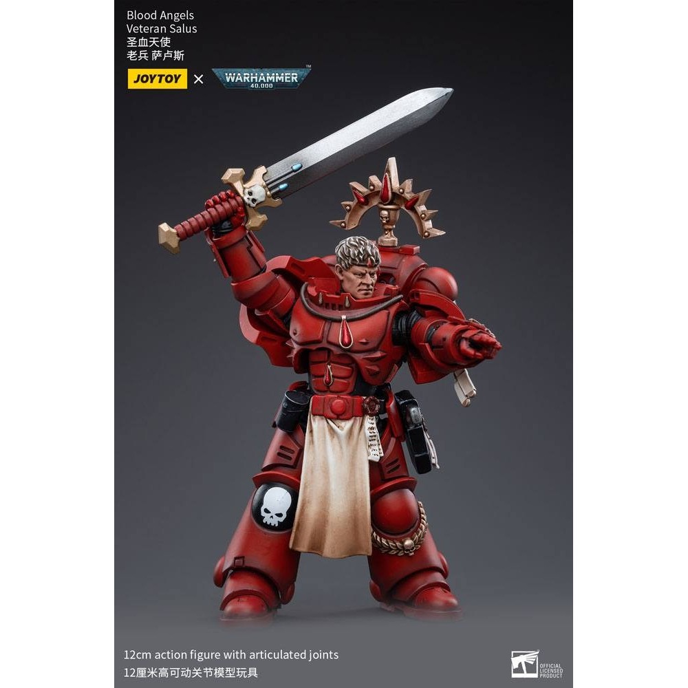 WARHAMMER 40000 BLOOD ANGELS VETERAN SALUS ACTION FIGURE JOY TOY (CN)
