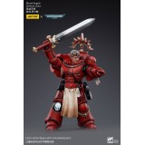 WARHAMMER 40000 BLOOD ANGELS VETERAN SALUS ACTION FIGURE JOY TOY (CN)