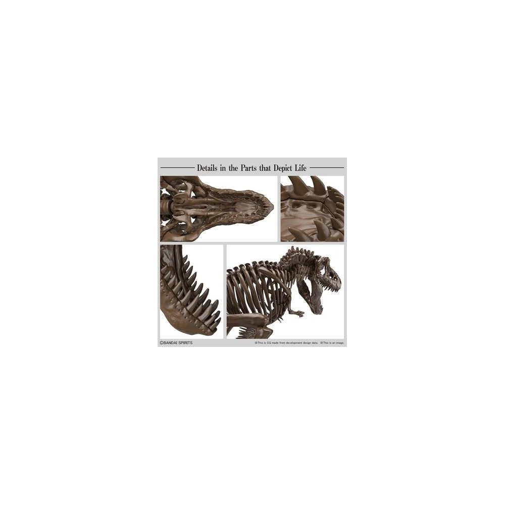 TYRANNOSAURUS IMAGINARY SKELETON 1/32 MODEL KIT FIGURE BANDAI