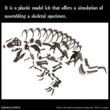 TYRANNOSAURUS IMAGINARY SKELETON 1/32 MODEL KIT FIGURE BANDAI