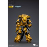 WARHAMMER 40000 IMPERIAL FISTS HEAVY INTERCESSORS 02 ACTION FIGURE JOY TOY (CN)