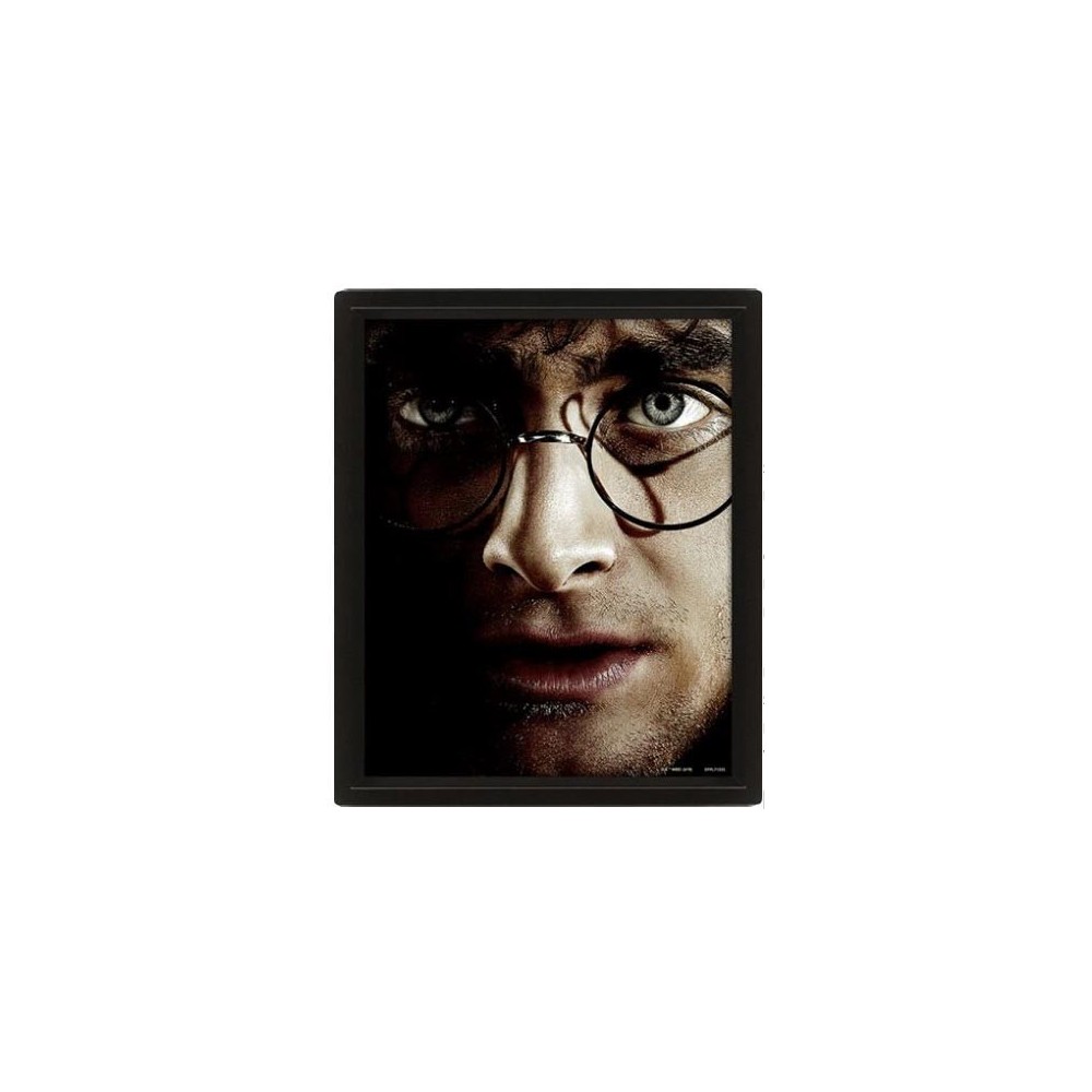 HARRY POTTER AND VOLDEMORT LENTICULAR 3D POSTER 25X20CM PYRAMID INTERNATIONAL