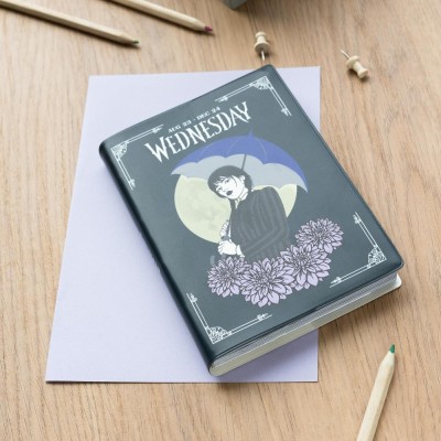 GRUPO ERIK WEDNESDAY 17 MONTHS AGENDA 2023/2024