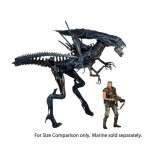 ALIENS XENOMORPH QUEEN DELUXE BOX ACTION FIGURE NECA