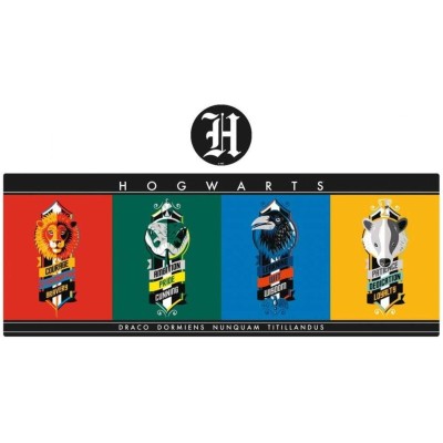 FANATTIK HARRY POTTER XL DESK MAT AND COASTER