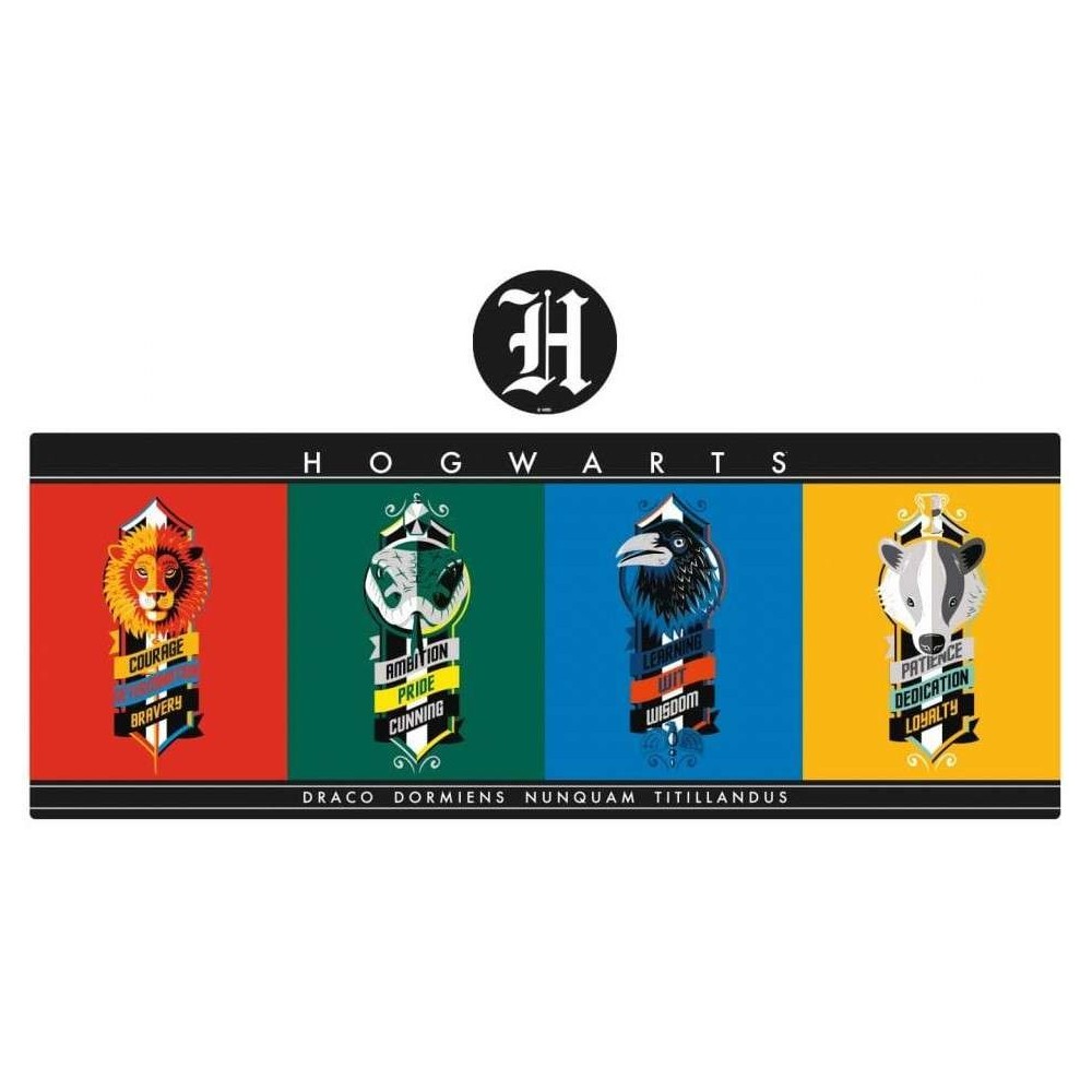 FANATTIK HARRY POTTER XL DESK MAT AND COASTER