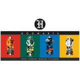 FANATTIK HARRY POTTER XL DESK MAT AND COASTER