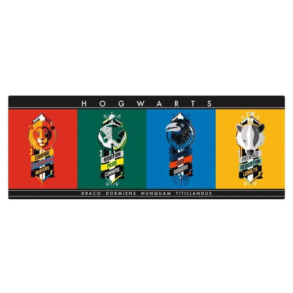 FANATTIK HARRY POTTER XL DESK MAT AND COASTER