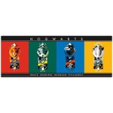 FANATTIK HARRY POTTER XL DESK MAT AND COASTER