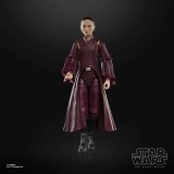 HASBRO STAR WARS THE BLACK SERIES PADME AMIDALA ACTION FIGURE