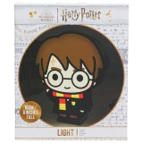 PALADONE PRODUCTS HARRY POTTER 2D FIGURE LIGHT