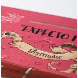 HARRY POTTER XL DESK MAT TAPPETINO DA GIOCO GRUPO ERIK