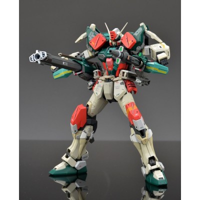 BANDAI MASTER GRADE MG GAT-X103 BUSTER GUNDAM 1/100 MODEL KIT FIGURE