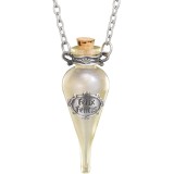 HARRY POTTER FELIX FELICIS COLLANA CON DISPLAY NOBLE COLLECTIONS