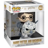FUNKO POP! HARRY POTTER E FIEROBECCO FIGURE FUNKO