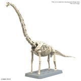 BANDAI PLANNOSAURUS BRACHIOSAURUS MODEL KIT FIGURE