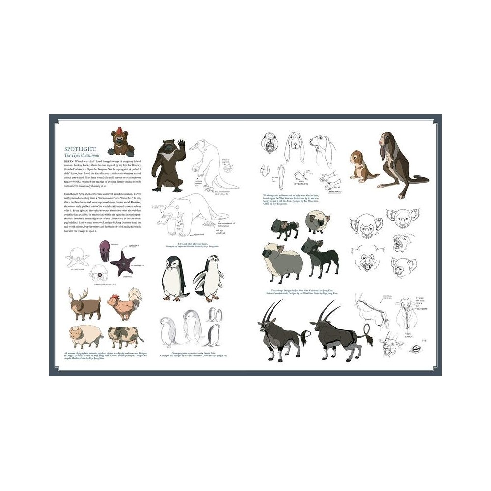 AVATAR THE LAST AIRBENDER THE ART OF THE ANIMATED SERIES 2ND ED ARTBOOK DARK HORSE