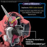 HIGH GRADE HG GUNDAM SEED FREEDOM VERSION Z'GOK 1/144 MODEL KIT ACTION FIGURE BANDAI