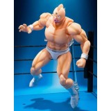 BANDAI KINNIKUMAN PERFECT ORIGIN ARC KINNIKUMAN SH FIGUARTS ACTION FIGURE