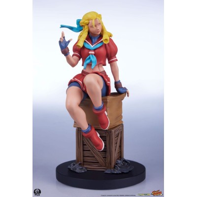 PCS PREMIUM COLLECTIBLES STUDIOS STREET FIGHTER KARIN AND E.HONDA STATUE FIGURE