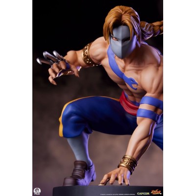 PCS PREMIUM COLLECTIBLES STUDIOS STREET FIGHTER KEN AND VEGA STATUE FIGURE