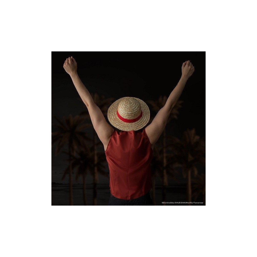 ONE PIECE MONKEY D. LUFFY CAPPELLO DI PAGLIA REPLICA CINEREPLICAS