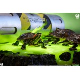 PCS PREMIUM COLLECTIBLES STUDIOS TEENAGE MUTANT NINJA TURTLES ORIGINS LIFE SIZED DIORAMA LED STATUE