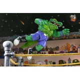 NECA TEENAGE MUTANT NINJA TURTLES ARCHIE COMICS STUMP WRESTLING LEATHERHEAD ACTION FIGURE