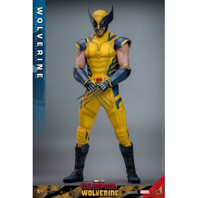 DEADPOOL & WOLVERINE MOVIE MASTERPIECE WOLVERINE ACTION FIGURE HOT TOYS