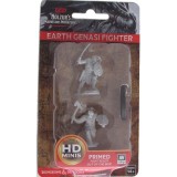 WIZKIDS DUNGEONS AND DRAGONS NOLZUR'S EARTH GENASI FIGHTER 2X MINIATURES