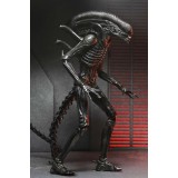 ALIEN ROMULUS XENOMORPH XX121 ULTIMATE ACTION FIGURE NECA
