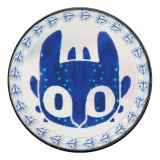 FANATTIK HOW TO TRAIN YOUR DRAGON LIMITED EDITION COLLECTIBLE COIN