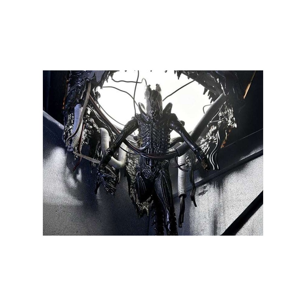 ALIEN ROMULUS XENOMORPH XX121 DELUXE SUSPENDED LAB ACTION FIGURE NECA