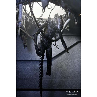 NECA ALIEN ROMULUS XENOMORPH XX121 DELUXE SUSPENDED LAB VERSION PVC ACTION FIGURE