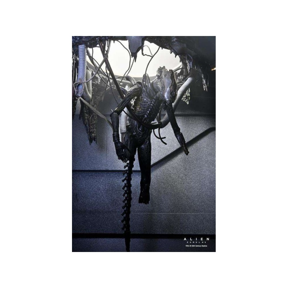 ALIEN ROMULUS XENOMORPH XX121 DELUXE SUSPENDED LAB ACTION FIGURE NECA