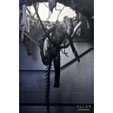 ALIEN ROMULUS XENOMORPH XX121 DELUXE SUSPENDED LAB ACTION FIGURE NECA