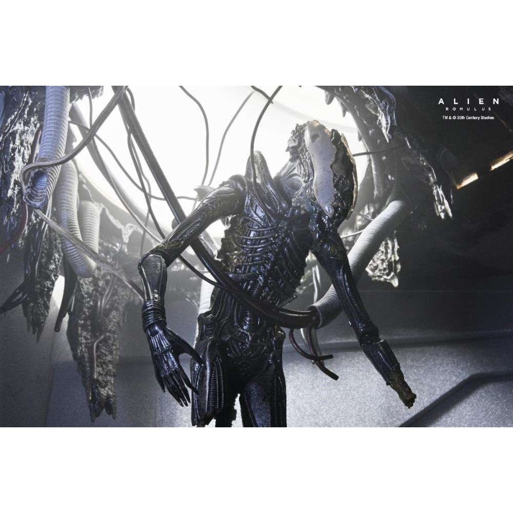 ALIEN ROMULUS XENOMORPH XX121 DELUXE SUSPENDED LAB ACTION FIGURE NECA