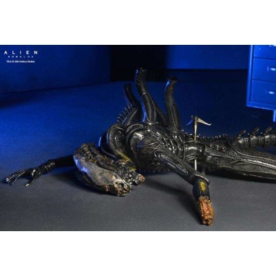 ALIEN ROMULUS XENOMORPH XX121 DELUXE SUSPENDED LAB ACTION FIGURE NECA