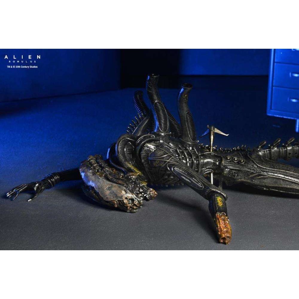 ALIEN ROMULUS XENOMORPH XX121 DELUXE SUSPENDED LAB ACTION FIGURE NECA
