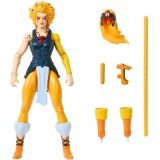 MASTERS OF THE UNIVERSE X THUNDERCATS CHEETARA ACTION FIGURE MATTEL