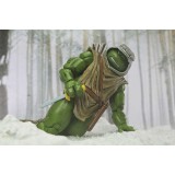 TEENAGE MUTANT NINJA TURTLES MIRAGE COMICS HUNTER LEONARDO ACTION FIGURE NECA