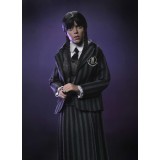 WEDNESDAY ADDAMS & ENID NEVERMORE UNIFORM CLOTHED ACTION FIGURE NECA