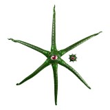 MARVEL LEGENDS GAMERVERSE GARGANTOS ACTION FIGURE HASBRO