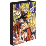 DRAGON BALL Z GOKU SUPER SAIYAN QUADRO RETROILLUMINATO 30X40CM PYRAMID INTERNATIONAL