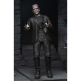 NECA UNIVERSAL MONSTERS ULTIMATE THE BRIDE OF FRANKENSTEIN 2-PACK PVC ACTION FIGURES
