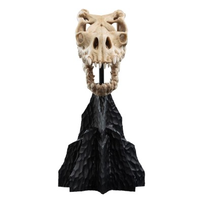 IL SIGNORE DEGLI ANELLI LORD OF THE RINGS SKULL OF A FELL BEAST REPLICA 21CM WETA