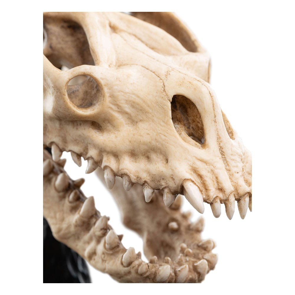 IL SIGNORE DEGLI ANELLI LORD OF THE RINGS SKULL OF A FELL BEAST REPLICA 21CM WETA