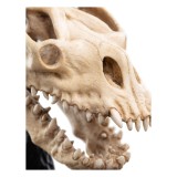 IL SIGNORE DEGLI ANELLI LORD OF THE RINGS SKULL OF A FELL BEAST REPLICA 21CM WETA