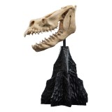 WETA THE LORD OF THE RINGS SKULL OF A FELL BEAST REPLICA 21CM