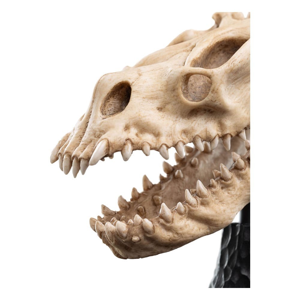 IL SIGNORE DEGLI ANELLI LORD OF THE RINGS SKULL OF A FELL BEAST REPLICA 21CM WETA